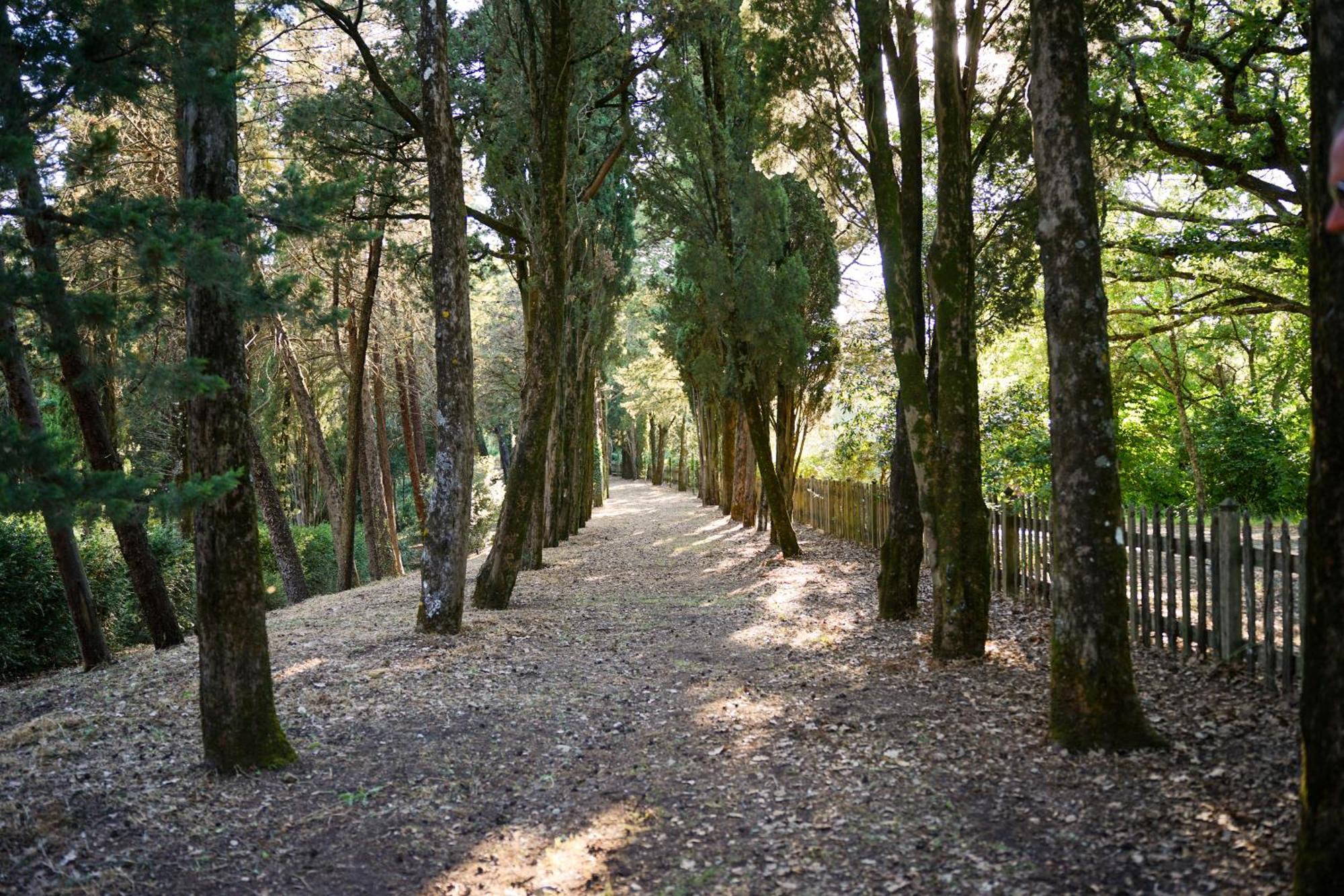 Villa Borgo Di Camporsevoli Esterno foto