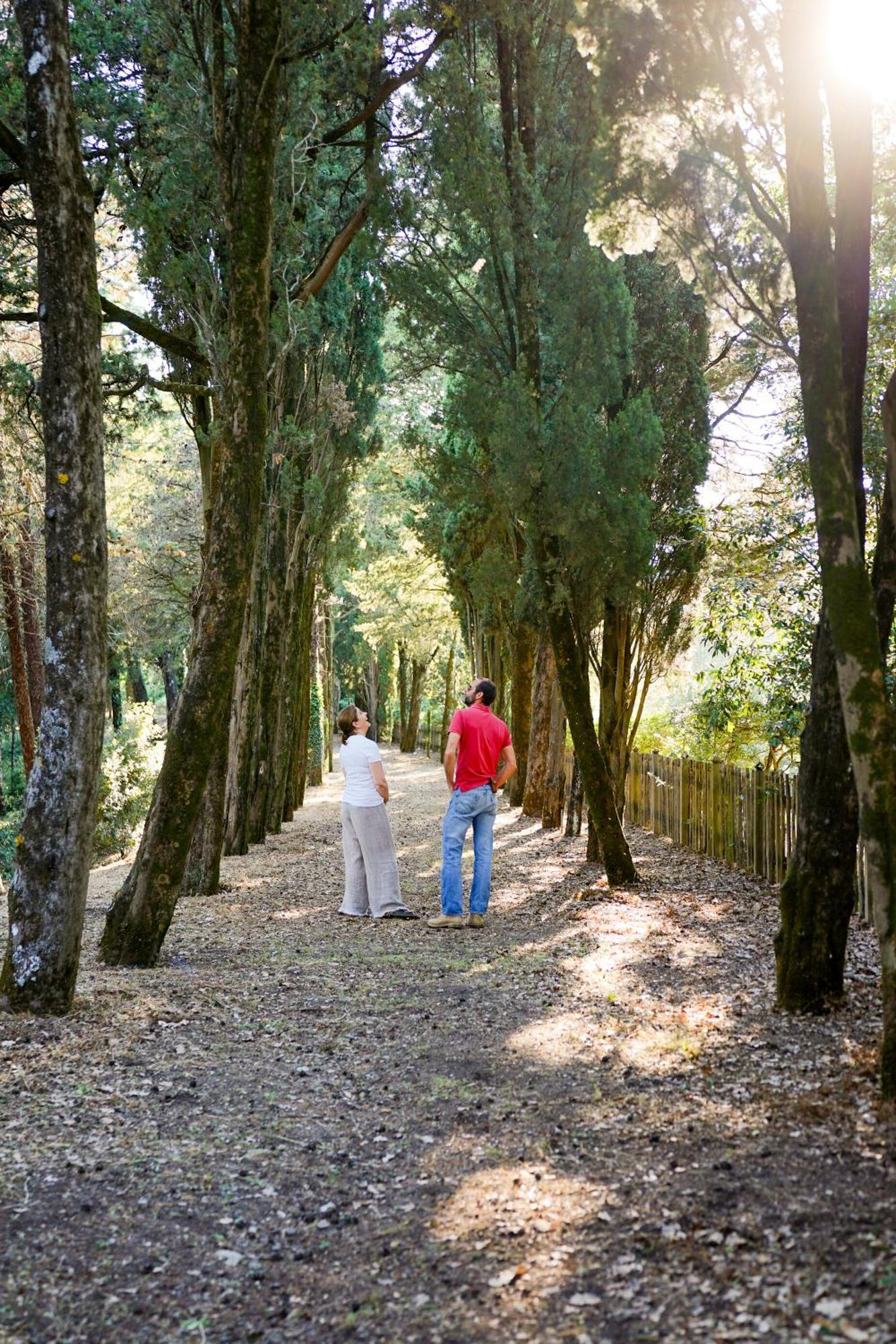 Villa Borgo Di Camporsevoli Esterno foto